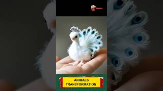 Animal before and after growing up trending animals funnyanimals animaltransformation [upl. by Ailehc59]