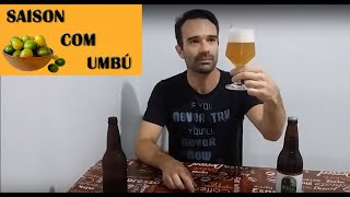 Cerveja Saison Com Umbú  Canal SimCerveja [upl. by Lihas335]