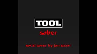 TOOL  Sober Vocal Cover by Jon Razor [upl. by Rhianna]