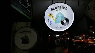 Oh1324 amp PLA the voice  Bluebird Jazz Bar Bangkok [upl. by Abagail]