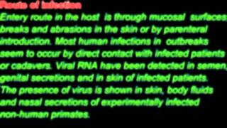 PCR Test for detection and treatment of Ebola Virus Genekam [upl. by Eblehs]