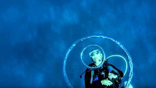 Pourquoi protéger la faune marine de lîle Maurice [upl. by Nilauqcaj]