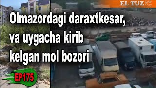 Olmazordagi daraxtkesar va uygacha kirib kelgan mol bozori – EP175 [upl. by Nelyahs]