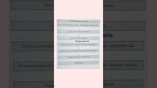 pathophysiology of pain most important for nursing students Target AIIMS 🎯 [upl. by Auhel]