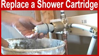 How to Replace a Delta Shower Cartridge [upl. by Nnylirehs]