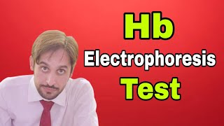 Hb Electrophoresis Test [upl. by Bills825]