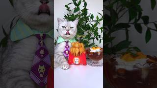 A Super Satisfying Snack🍟 Chips And Ketchup😋🍅 catsofyoutube foodlover tiktok [upl. by Notnerb]