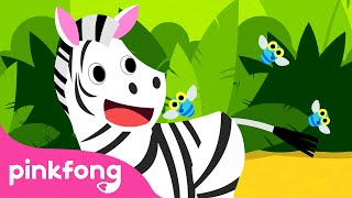 ¡Cebra Cadabra  🦓 Cebra  Canciones de Animales  Pinkfong Canciones Infantiles [upl. by Bechler]