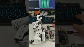 Robotis Mini Dynamixel XL320 controlled directly from Raspberry Pi [upl. by Vitia246]