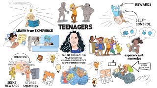 Teenage Brains Wired to Learn [upl. by Milli]