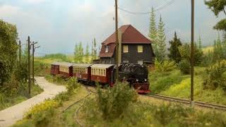 MODELSPOOR EXPO MTD TREINENCLUB EDEGEM 2024  Part 3 [upl. by Ebocaj287]