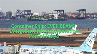 Container Ship EVER BEAMY Evergreen Marine Corporation Port of Tokyo [upl. by Heywood]