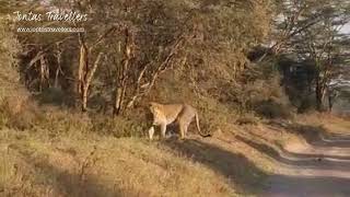 Lake Nakuru National Park [upl. by Maddock488]