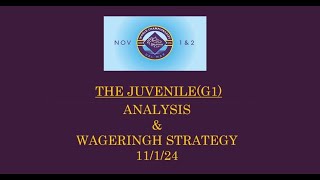 THE JUVENILE WAGERING STRATEGY [upl. by Lacy]