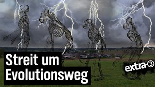 Realer Irrsinn Ärger um Evolutionsweg im Westerwald  extra 3  NDR [upl. by Bumgardner]