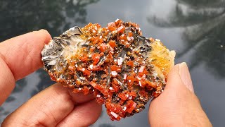 钒铅矿重晶石共生矿  Vanadinite  Barite [upl. by Reifel]