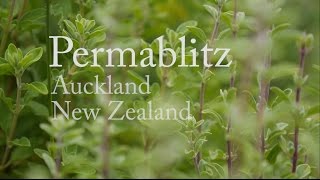 Permaculture in New Zealand  Permablitz [upl. by Baiss523]