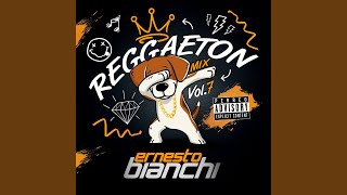 Reggaeton Mix Vol7 [upl. by Des441]