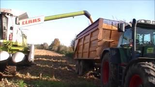 Loonbedrijf Van haeren Wehl Claas Lexion 760 [upl. by Alano]