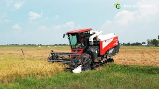 Nice Action Cabine Kubota DC 93 Harvesting Rice At Rice Farms amp Greatest Team Working Skills [upl. by Aihsenal736]