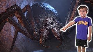 Giant Spider Monster [upl. by Ahsot7]