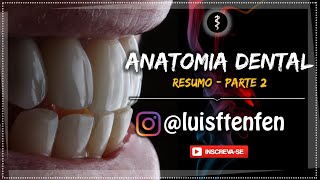 Anatomia Dental RESUMO  Parte 2 [upl. by Angelia655]