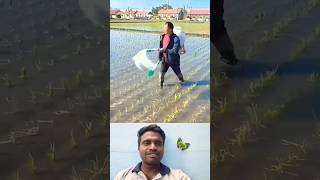 🤔உரம் இப்படி போடலாம்மா⁉️  Fertilizer Apply Tricks 🔥 trending fertilizer apply tricks shorts [upl. by Ibmab]