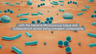 Specialized Metabolic Capacities of Microbes in Oligotrophic Built Environments [upl. by Kirchner]