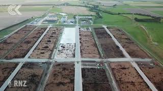 NZ’s largest feedlot ‘We take great care of our animals’ RNZ Checkpoint [upl. by Byrle592]