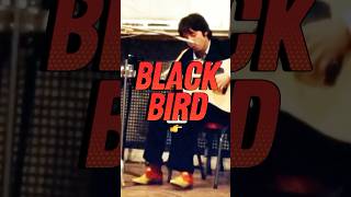 Paul McCartneys plays quotBlackbirdquot on Acoustic Guitar LIVE SESSIONS 🎵👏 thebeatles blackbird [upl. by Beaner]