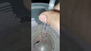 bloodworm betta live food tamil [upl. by Regor199]