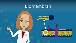 Biomembran  Aufbau und Funktion [upl. by Uthrop]