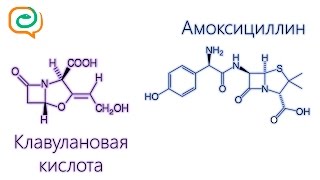 Побыстрому о лекарствах Амоксициллин и клавулановая кислота [upl. by Krug]