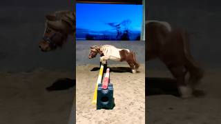 VRIJSPRINGEN met BINK en RAMBO🐴💙 horse equestrian horsemanship [upl. by Renick]