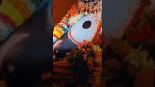 miramuna youtubeshorts mirajagannath viralreels viralvideo 🙏🏻🙏🏻🙏🏻🙏🏻 Jay Jagannath 🙏🏻🙏🏻 [upl. by Einnos]