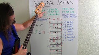 Bass Guitar For Beginners What Bassists Should Know [upl. by Aieka]