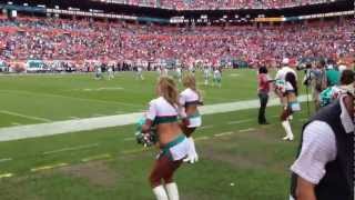 Miami Dolphins Cheerleaders [upl. by Yemar]