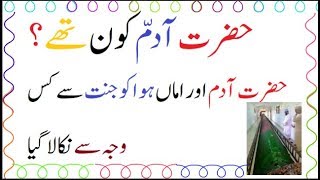 Hazrat Adam A S story in urdu  Hazrat Adam A S ka waqia Urdu Hindi [upl. by Belier]