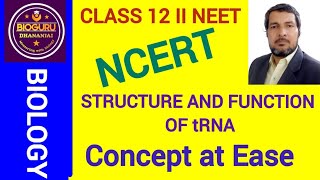 STRUCTURE AND FUNCTION OF tRNA II CLASS 12 II NEET II NCERT II [upl. by Anaiq]