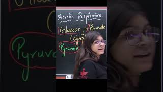 Aerobic Respiration  shorts cbse science education [upl. by Bliss]