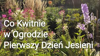 JESIEŃ W Ogrodzie pierwszy dzień jesieni [upl. by Fisken16]