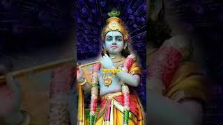 🙏Kabhi rothana 🌹 na Krishna 🥀 song status 🌹🙏 [upl. by Innus782]