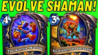 Excavate Evolve Shaman The Azerite Murloc Combo [upl. by Nuawed383]