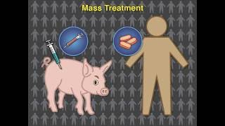 Eradicating Pork Tapeworm Transmission [upl. by Vanden726]