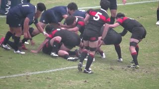 関東大学ラグビー対抗A・Bグループ入替戦2019 成蹊大学VS立教大学 ロングバージョン [upl. by Lorrimor537]