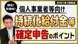 持続化給付金等『確定申告のポイント』～個人事業者等向け～ [upl. by Pacifica]