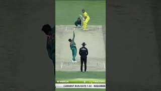 Australia All Fall of Wickets Against Pakistan PAKvAUS SportsCentral Shorts PCB M7C2K [upl. by Fisa]