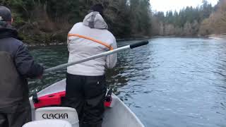 Steelhead fishing the Bogachiel river [upl. by Redneval]