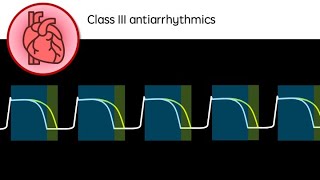 Class III Antiarrhythmic drugs [upl. by Leihcey981]