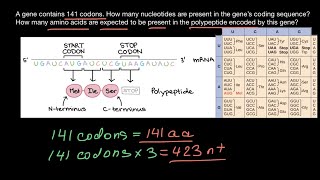 Codons nucleotides and amino acids explained [upl. by Ching]